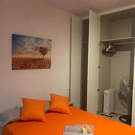 My Shelter Проживание в семье
