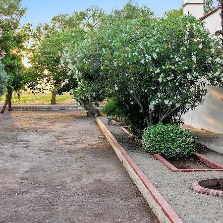 別荘 Huerto Valenciano - Sol Y Tranquilidad - Piscina *