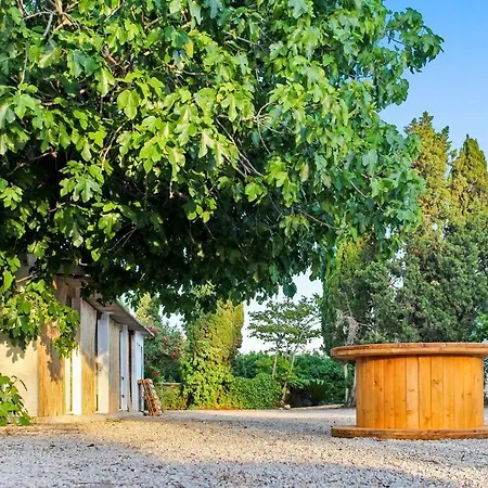 Дом отдыха Huerto Valenciano - Sol Y Tranquilidad - Piscina