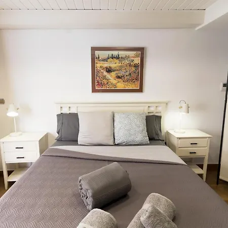 Loft Con Terraza Centro Apartament Walencja