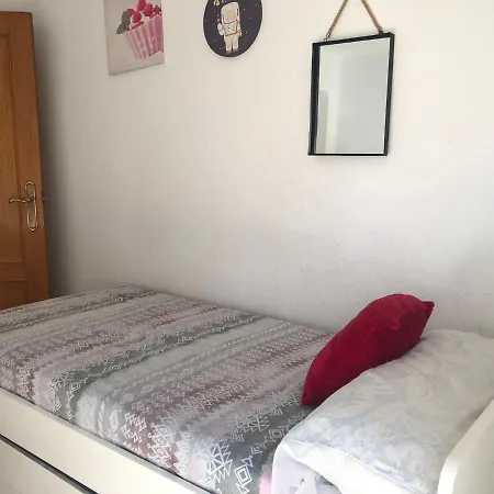 Arts And Sciens Museum/beach Apartment