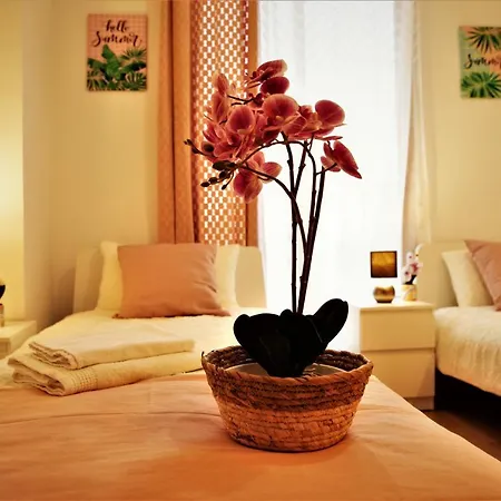 شقة Penthouse Duplex In A 4 Floors Spanish House -8 Min To Center By Metro *