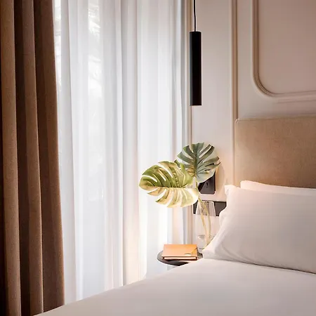 Lotelito Hotel 3*