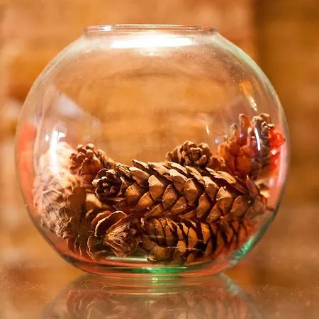 Attic Duplex Ruzafa * 瓦伦西亚