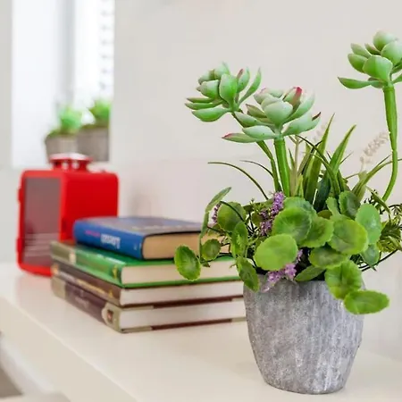 Design & Stylish House In The Center Of