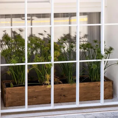 Le Japonais De Coup De Coeur Apartament *