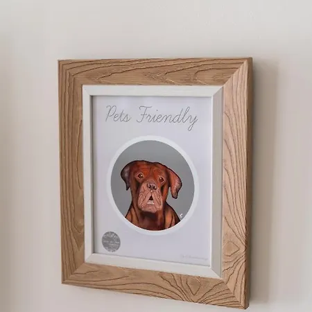 Le Provencal De Coup De Coeur * バレンシア