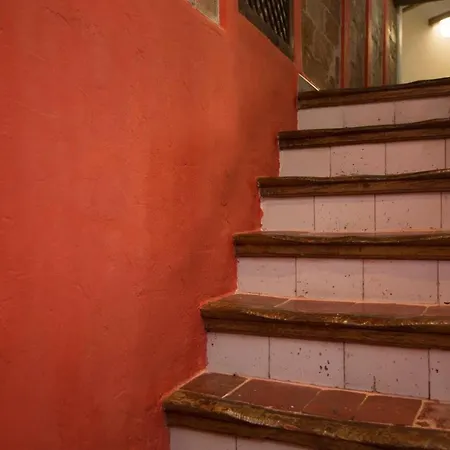 Next To Market, Cathedral And Town Hall * Valence