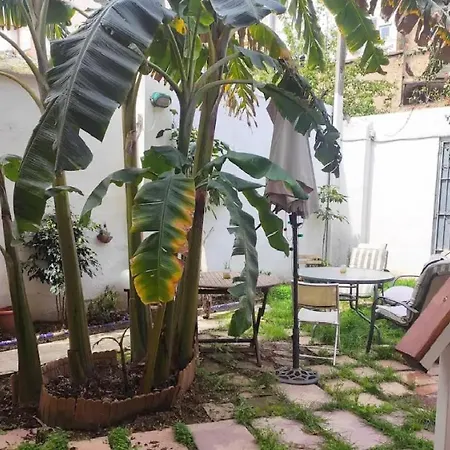 4 - Acogedora Junto A Ruzafa Con Bano Privado Y Aire Acondicionado アパート *