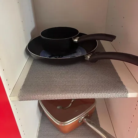 Beautiful Tulip Valência