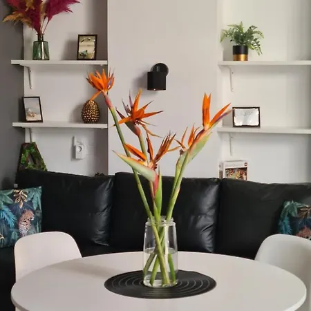 Hlius Brand New Valencia