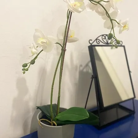 Peres I Valero En Piso Compartido 招待所