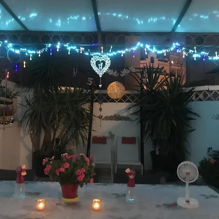 Papillon Βαλένθια