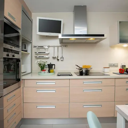 Singularstays Oceanografico Ii Apartman Valencia