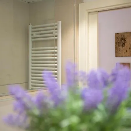 Singularstays Oceanografico Ii *