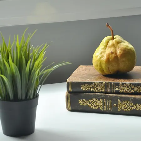 La Casa - Ruzafa Valencia