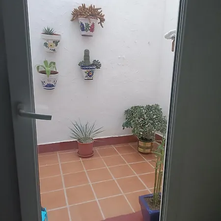 Apartament Apartamento Oceanographic Walencja