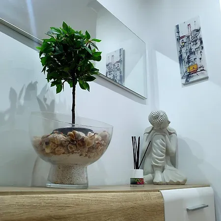 Albufera バレンシア