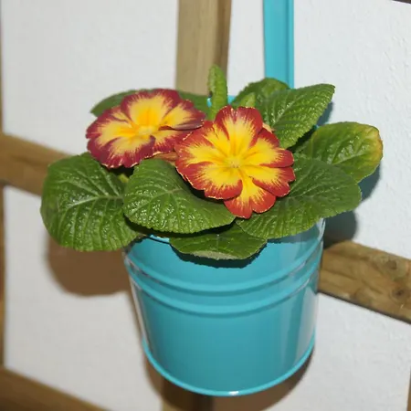 Cerca De La Marina En *