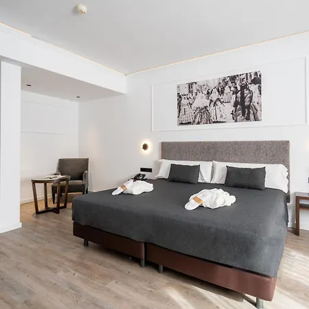 Hotel Conqueridor Valence