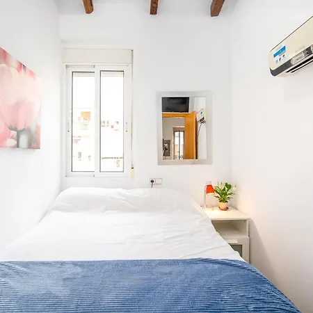 阿提科鲁扎法公寓 * 瓦伦西亚