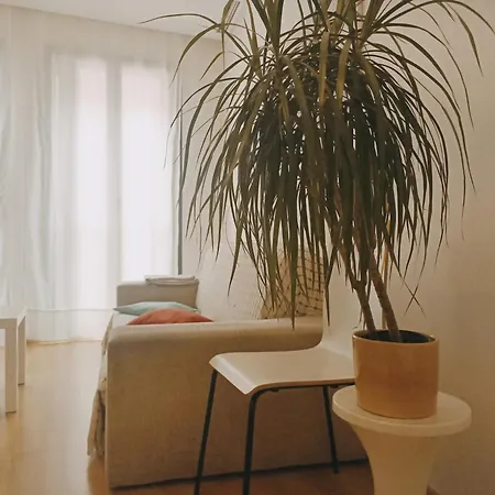 Apartamento Piso En El Centro *