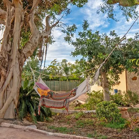 Orange Blossom Unique *