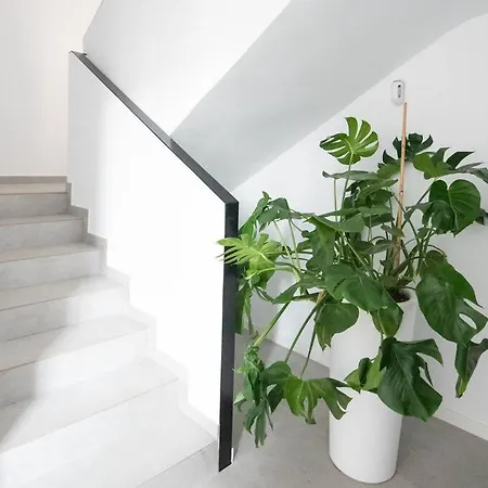 En Playa Malvarrosa Con Bano Privado -no Ac- Pensjonat 3*