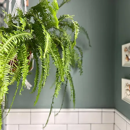 Studio Séjour chez l'habitant Valence