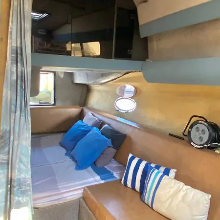 Zeus * فالنسيا