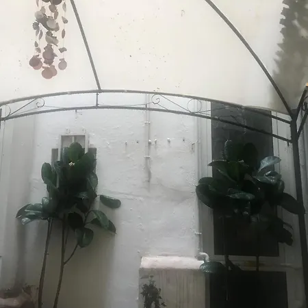 Bed & Breakfast Papillon Valencia