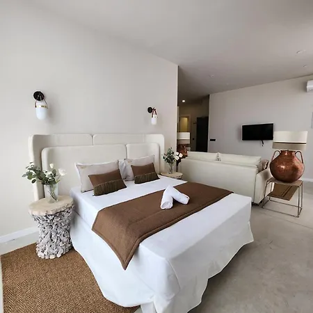 Md Pare Presentat Appartement