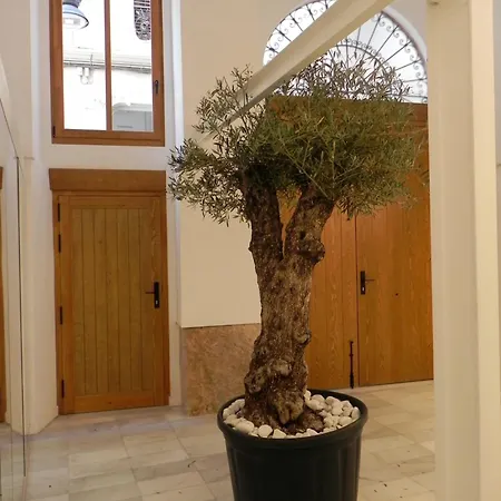 Catalina Downtown 4* Valencia