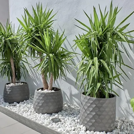 Atico Acogedor Con Amplia Terraza Plaza Del Carmen * Valencia