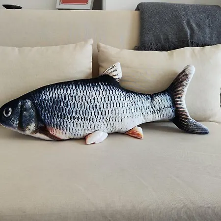 Apartment Carisan2 - Fully Equipped, 6 Min To Valencia