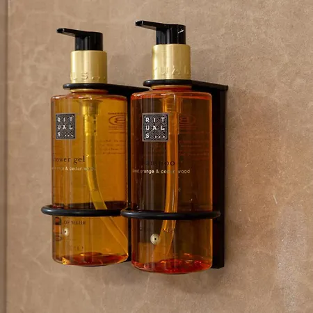 Osito Hub - Pintor Nicolau * Valencia