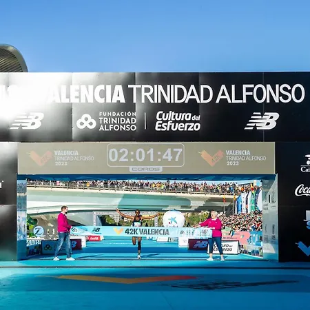 Luminoso. Comodo. Acogedor. Wifi. Junto A Ave Valenza