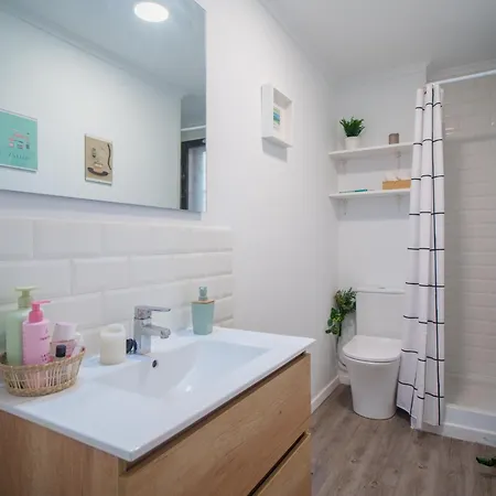 Recently Renovated Near The Valencia