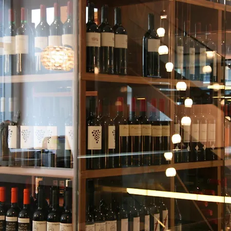 瓦伦西亚普里默斯酒店 瓦伦西亚