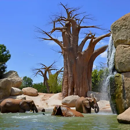 Espectacular Loft Piscina Y Terraza - Roig Arena - Ciencias - Ruzafa - Centro 발렌시아