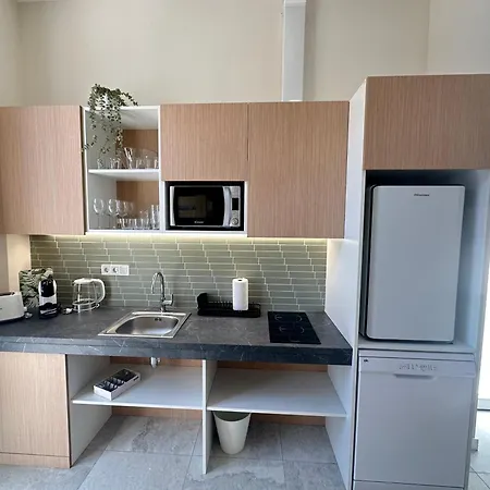 公寓 Calma Lofts 瓦伦西亚