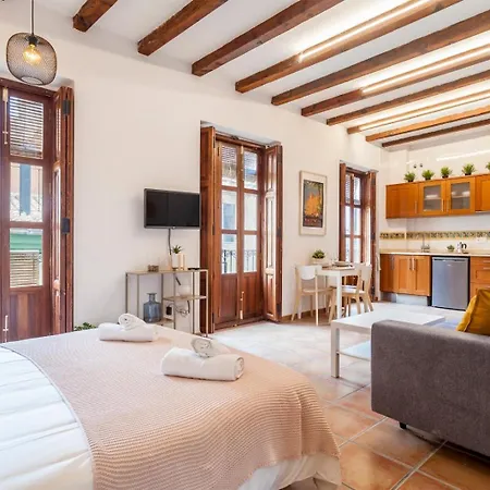 Loft Reformado Y Soleado Junto Al Mercado Apartment