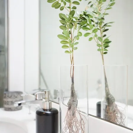 & Co. J. Botanico Boutique ホテル バレンシア