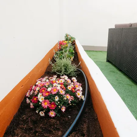 Amplio Cerca Centro Historico Y Turia 5pax 2 Bath Daire *