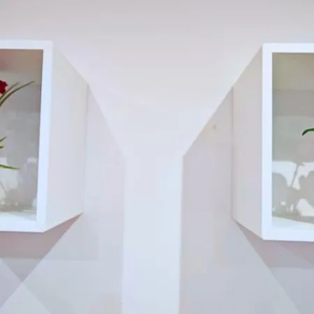 Vacansis El Pilar * Valencie