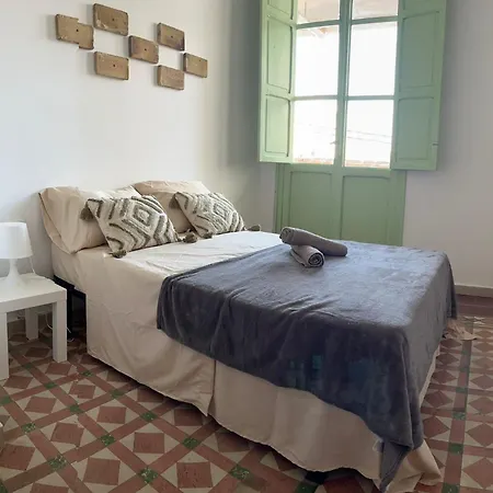 Kiwi Auto Check-in *