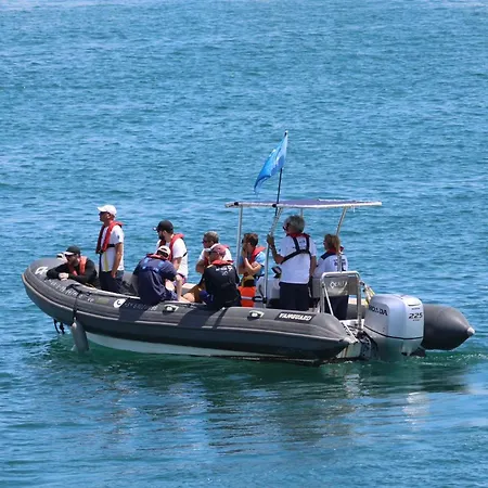 Marine Dream بوتيل فالنسيا