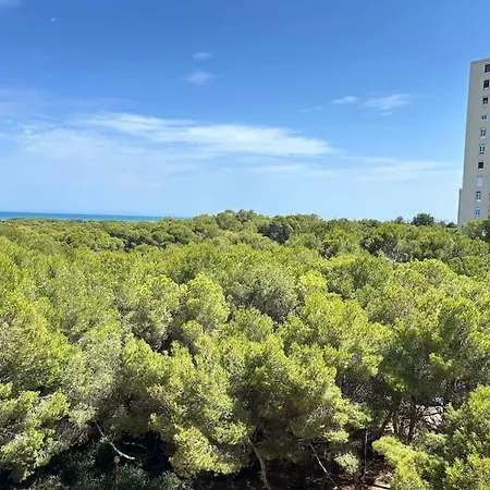 District Key - Saler, Av Gola Puchol 14 Valencia