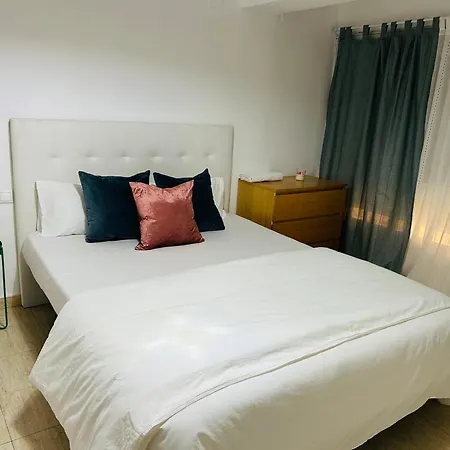 Beautiful Tulip Apartment