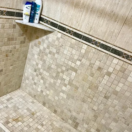 Beautiful Tulip Apartamento